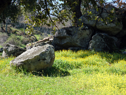 DSC03961.yMhLxGNBoJQ4.jpg