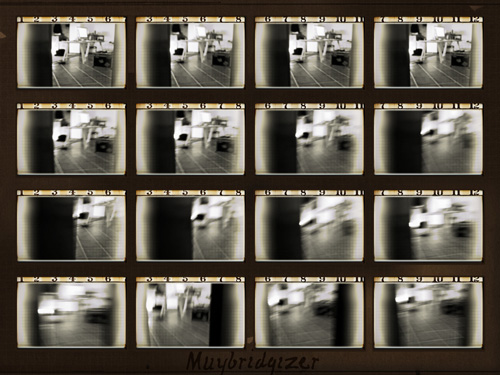 MuybridgizedImage-2010-11-2-16-37.jpg