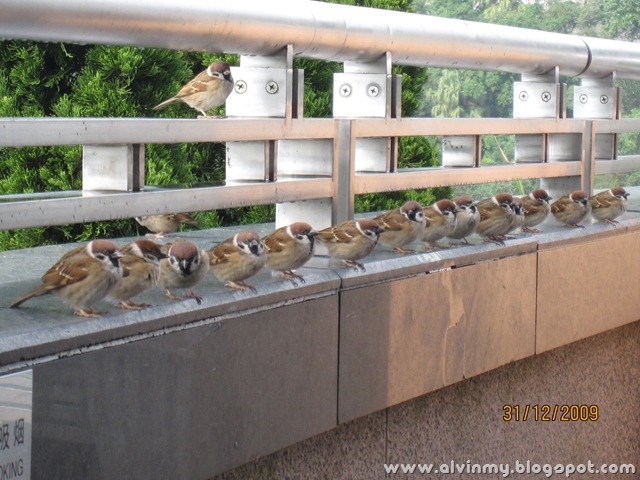 [hk pics 455[10].jpg]