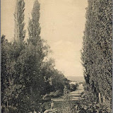 Feriana