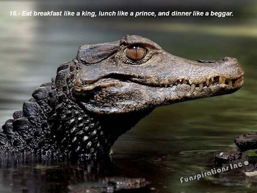 Eat breakfast like a king, lunch like a prince, and dinner like a beggar.