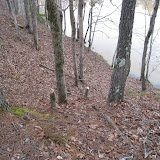 IMG_1062.JPG
