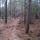 IMG_1094.JPG