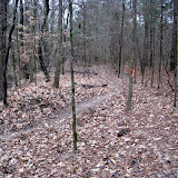 IMG_1097.JPG