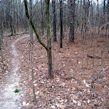 IMG_1098.JPG