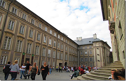 IMG_7882 IMG_7882