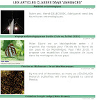 De l’utilisation du site www.lepido-france.fr