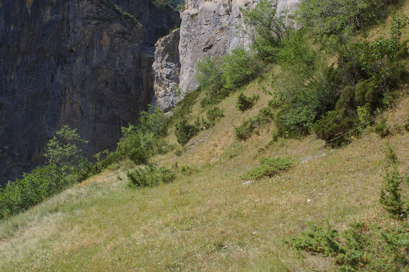 Le Châtelet : biotope de Parnassius apollo et de nombreux satyridae. À droite (vers le sud) : l'Ubaye. 9 août 2009. Photo : J.-M. Gayman