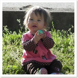b_164314 - Copy