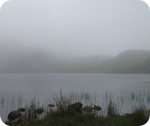 IMG_0718 IMG_0718