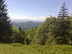 20100605137.jpg