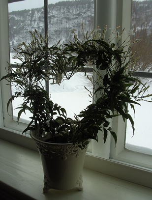 BILD0357