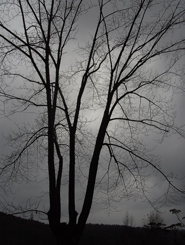 BILD0086