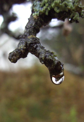 BILD0105