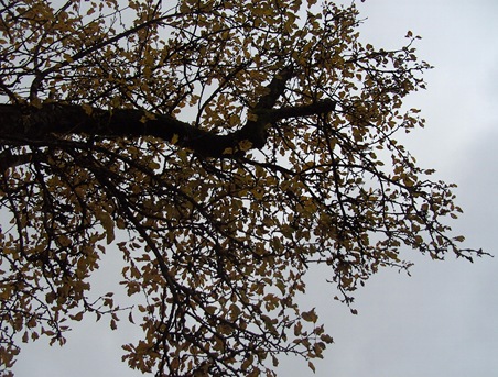 BILD0095