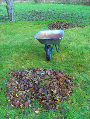 BILD0219