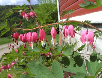 BILD0597