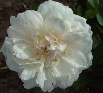 BILD0674