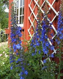 BILD0745