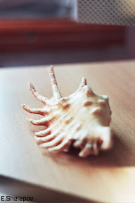 _23_0025.jpg