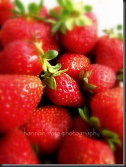 Strawberries! 108