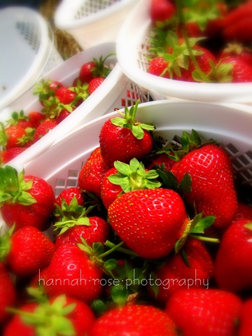 [Strawberries2192.jpg]