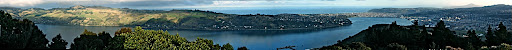 Panorama of Otago Harbor