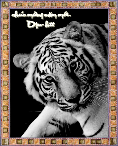 http://lh5.ggpht.com/_6nktQOihaMo/S21E2V7SWXI/AAAAAAAAJXk/iaHCE8zGfDA/s512/4235777231_8509f720a0_o.png
