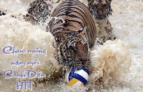 http://lh5.ggpht.com/_6nktQOihaMo/S21FBJ0DdPI/AAAAAAAAJXw/uk7A7_8BW7o/090428094037-514-971.jpg