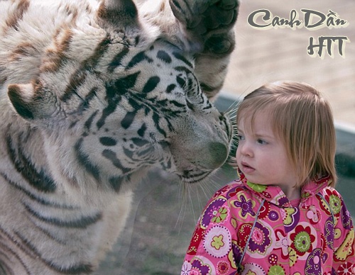 http://lh5.ggpht.com/_6nktQOihaMo/S21Fs-o8dQI/AAAAAAAAJYQ/kt1fwGVtsW4/090509081047-845-708.jpg