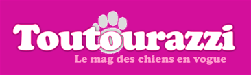 Toutourazzi, le mag des chiens en vogue