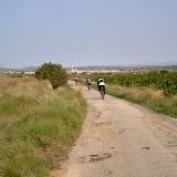 PICT7894.JPG