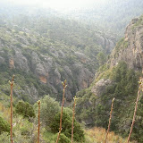 PICT7932.JPG