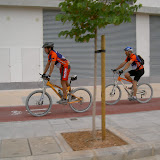 PICT8110.JPG