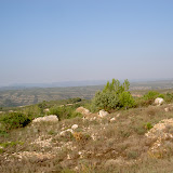 PICT8205.JPG
