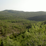 PICT8203.JPG
