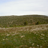 PICT8280.JPG