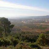 PICT8319.JPG