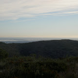 PICT8317.JPG