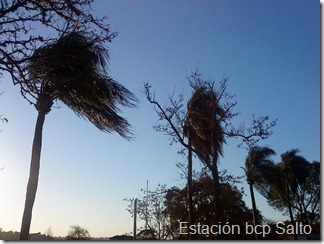 Viento en la costa_bcp (4)