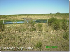 Estación bcp Salto