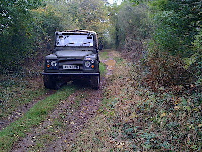The track emerges from the woods into pastureland at the North end.