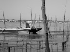 P1010187.JPG