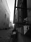 P1030492.JPG