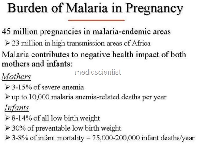 [MALARIA IN PREGNANCY[2].jpg]