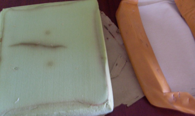 [August 30, 2010 033[5].jpg]