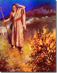 moses%20and%20burning%20bush%5B3%5D.jpg