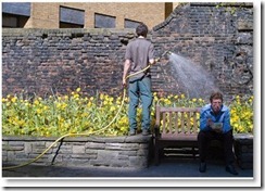 image009