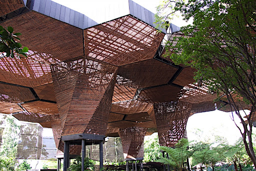 In the botanical gardens