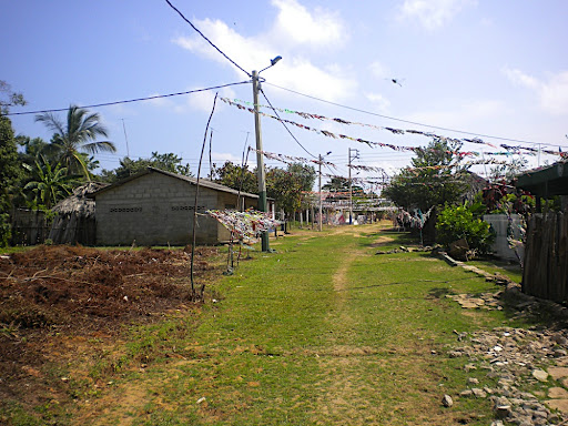 Some houses on the island